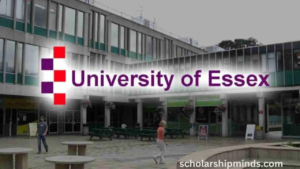 Scholarship at the University of Essex for 2024 | Procedure in Detail